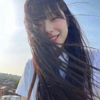 春燕展翅