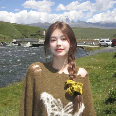 孤胆义侠
